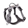Kyflie pettorina momentum (l) light grey