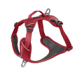 Kyflie pettorina momentum (l) rossa