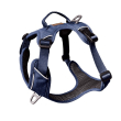 Kyflie pettorina momentum (m) blue navy