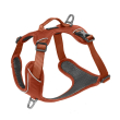 Kyflie pettorina momentum (m) rame