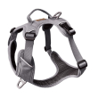 Kyflie pettorina momentum (xl) light grey