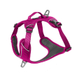Kyflie pettorina momentum (xl) rosa