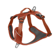 Kyflie pettorina momentum (xs) rame