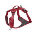 Kylie pettorina momentum (s) rosso