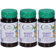 L'angelica drenante anticell compresse 3x24 g