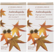 L'erbolario ambraliquida bagnogel con microsfere alla vitamina e 2x250