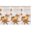 L'erbolario ambraliquida bagnogel con microsfere alla vitamina e 3x250
