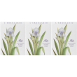L`erbolario sacchetto profumato per cassetti iris 3x1 st