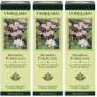 L`erbolario shampoo purificante alla menta e vitamina e 3x200 ml