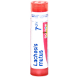 Lachesis mutus 7ch gr