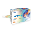 Lactomix adulti 10stick