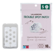 Lalarecipe trouble spot patch small