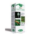 Lampone 100ml gm