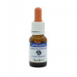 Lapislazzuli 15 ml