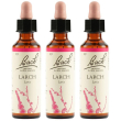 Larch bach orig 20ml 3x20 ml gocce orali