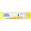 Ledum palustre (boiron)*80 granuli 4 ch contenitore multidose 4g
