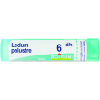Ledum palustre (boiron)*80 granuli 6 ch contenitore multidose 4g