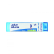 Ledum palustre (boiron)*80 granuli 9 ch contenitore multidose