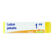 Ledum palustre (boiron)*granuli 1 mk contenitore monodose
