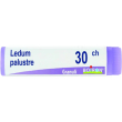 Ledum palustre (boiron)*granuli 30 ch contenitore monodose globuli