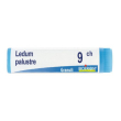 Ledum palustre (boiron)*granuli 9 ch contenitore monodose