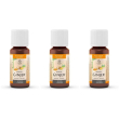 Lemon pharma ginjer gocce 20 ml 3x20 ml orali