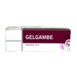 Lfp gelgambe ginkgo 100 ml