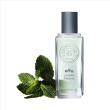 L'homme menthe edt 100ml