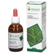 Linfa di betulla gemm bio100ml