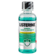 Listerine denti&gengive 95ml