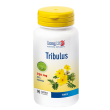 Longlife tribulus terrest90 capsule