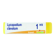 Lycopodium clavatum 1000k gr
