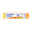 Lycopodium clavatum 15ch 80gr