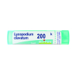 Lycopodium clavatum 200k 80gr