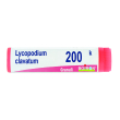 Lycopodium clavatum 200k gr 1g