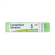 Lycopodium clavatum 5ch 80gr