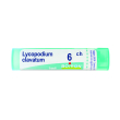 Lycopodium clavatum 6ch 80gr