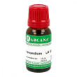 Lycopodium clav 12lm 10ml gocce