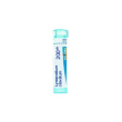 Lycopodium clavatum 200ch80gr