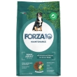 Maintenance maxi adult al cervo e patate - alimento completo per cani 12 kg