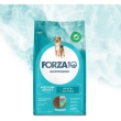 Maintenance medium adult al pesce - alimento completo per cani adulti di taglia media 12 kg