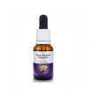 Many headed dryandra 15ml 4805