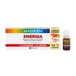 Massigen energia 21 flaconi