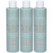 Maternatura shampoo lavaggi frequenti al te bianco 3x250 ml