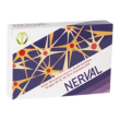 Medigi' pharma nerval integratore per memoria e concentrazione - 14 bustine