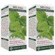 Melissa estratto integrale 200 ml 2x200 ml soluzione orale