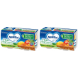 Mellin omogeneizzato mela agrumi 100 g 2 pezzi set da 2x2x100 g papp