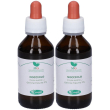 Mg nocciolo (corylus avellana) gemme 2x100 ml gocce orali