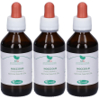 Mg nocciolo (corylus avellana) gemme 3x100 ml gocce orali