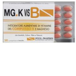 Mgk vis b 20 compresse 17 g